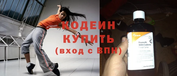 дживик Заводоуковск