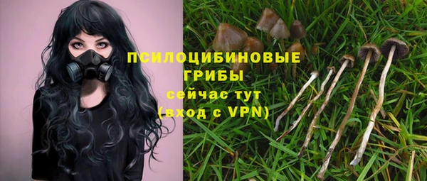 дживик Заводоуковск