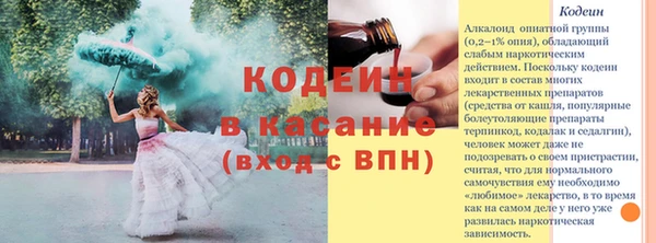 дживик Заводоуковск